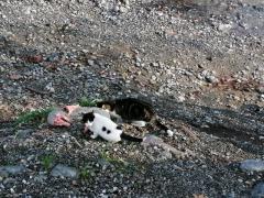 IMG-20191210-WA0009